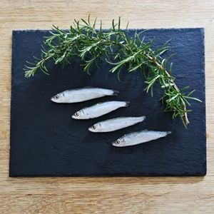 Fresh Sprats Whole 1KG